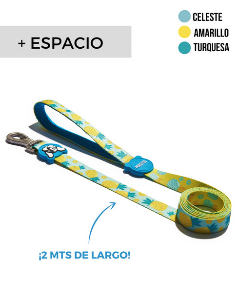 Correa Estándar Abacaxi * 2 Mts